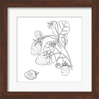 Framed Wild Strawberries I