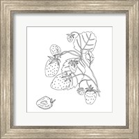 Framed Wild Strawberries I