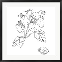 Framed Wild Strawberries II