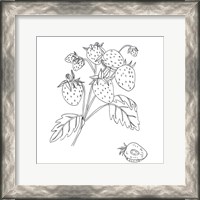 Framed Wild Strawberries II