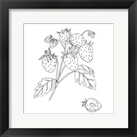 Framed Wild Strawberries II