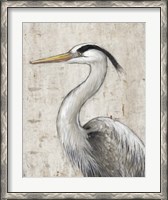 Framed Grey Heron II