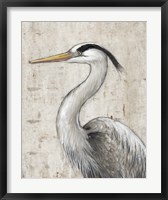 Framed Grey Heron II