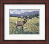 Framed Rocky Mountain Elk I