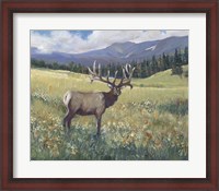 Framed Rocky Mountain Elk I