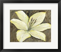 Framed Neutral Lily I