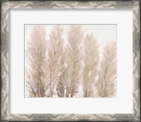 Framed Pampas Grass I