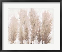 Framed Pampas Grass II