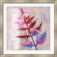 Framed Dappled Fern I