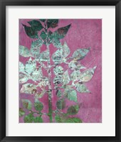 Mono Branch II Framed Print