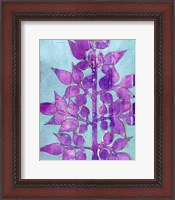 Framed Purple Planta I