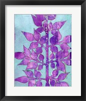 Framed 'Purple Planta I' border=