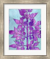 Framed Purple Planta I