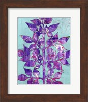 Framed Purple Planta II