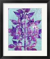 Framed 'Purple Planta II' border=
