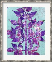 Framed Purple Planta II