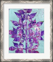 Framed 'Purple Planta II' border=