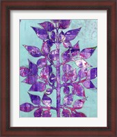 Framed 'Purple Planta II' border=