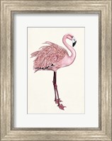 Framed Striking Flamingo I