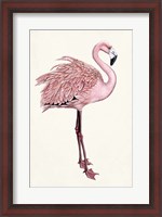 Framed Striking Flamingo I