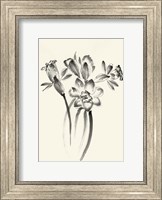 Framed Ink Wash Floral I - Daffodils