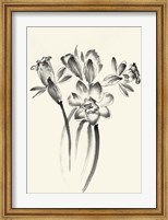 Framed Ink Wash Floral I - Daffodils