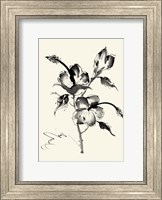 Framed Ink Wash Floral III - Hibiscus