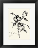 Framed Ink Wash Floral III - Hibiscus