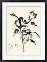 Framed Ink Wash Floral III - Hibiscus