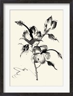 Framed Ink Wash Floral III - Hibiscus
