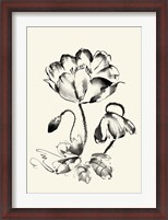 Framed Ink Wash Floral IV - Poppy