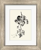 Framed Ink Wash Floral V - Grapes