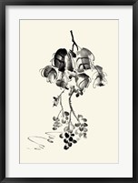 Framed Ink Wash Floral V - Grapes