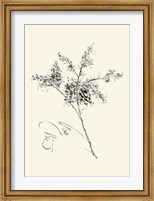 Framed Ink Wash Floral VII - Forsythia
