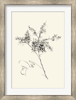 Framed Ink Wash Floral VII - Forsythia