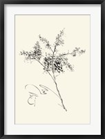 Framed Ink Wash Floral VII - Forsythia