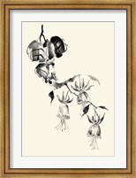 Framed Ink Wash Floral VIII - Fuchsia