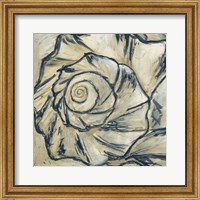 Framed Navy Seashell Spiral I