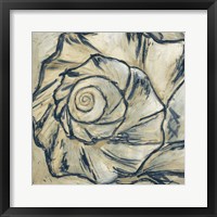 Framed Navy Seashell Spiral I