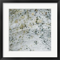 Seasonal Transition II Framed Print