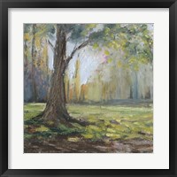 Framed 'Path to the Tree I' border=