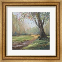 Framed Path to the Tree II