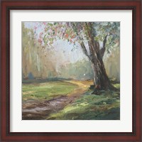 Framed Path to the Tree II