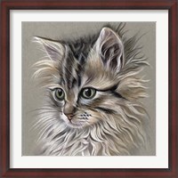 Framed Kitten Portrait I