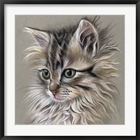 Framed Kitten Portrait I