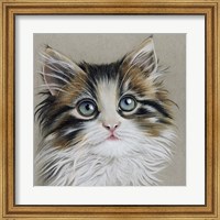 Framed Kitten Portrait II