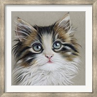 Framed Kitten Portrait II