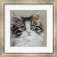 Framed Kitten Portrait II