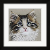 Framed Kitten Portrait II