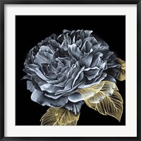 Framed River Roses I